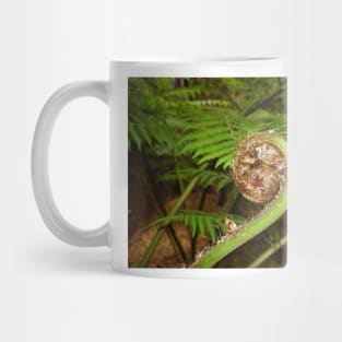 Fern Spiral Mug